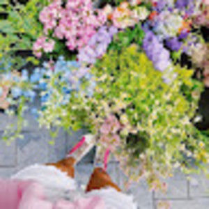 Meet your Posher, Ella